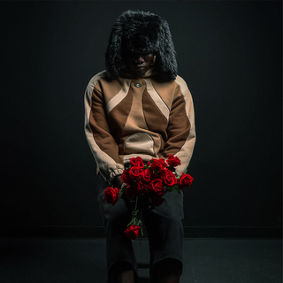 'SPLICE' HOODIE: MOCHA